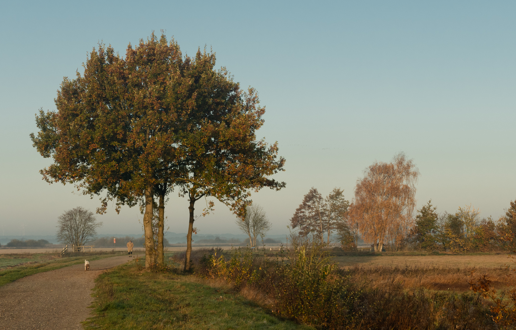 Das Morgenlicht genießen ...