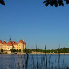 Das Moritzburger Schloss....,