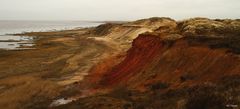 Das Morsum-Kliff auf der Insel Sylt I