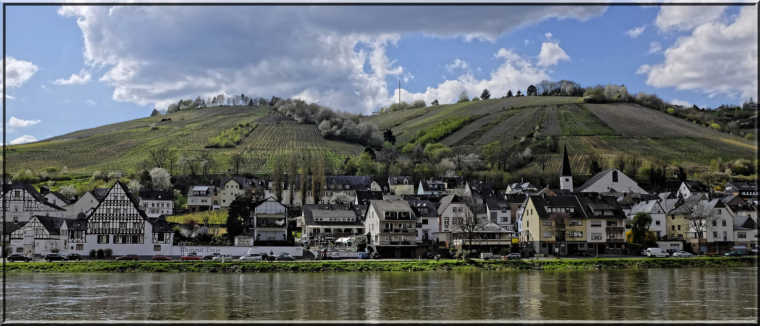 das Moseltal bei Traben Trarbach (1)