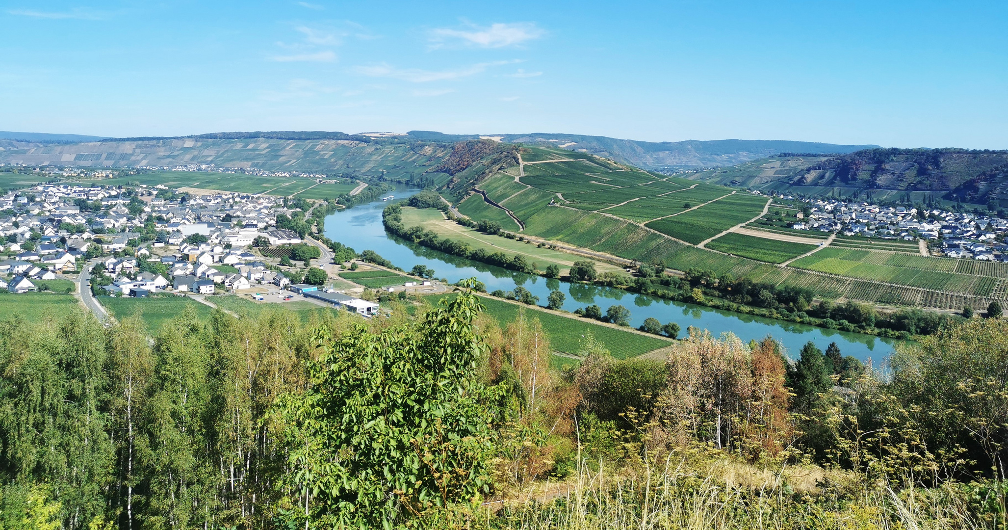 Das Moseltal im Sonnenlicht.