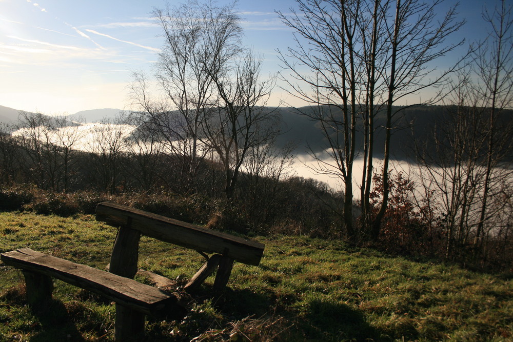 Das Moseltal in "Watte" (Bei Bruttig-Fankel nähe Cochem)