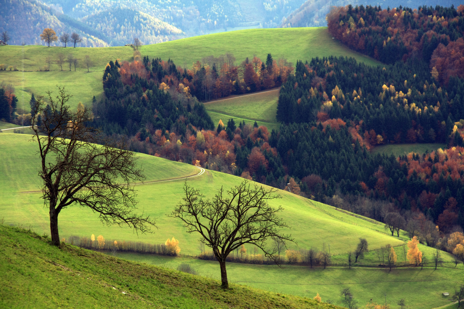 Das Mostviertel im Herbst.