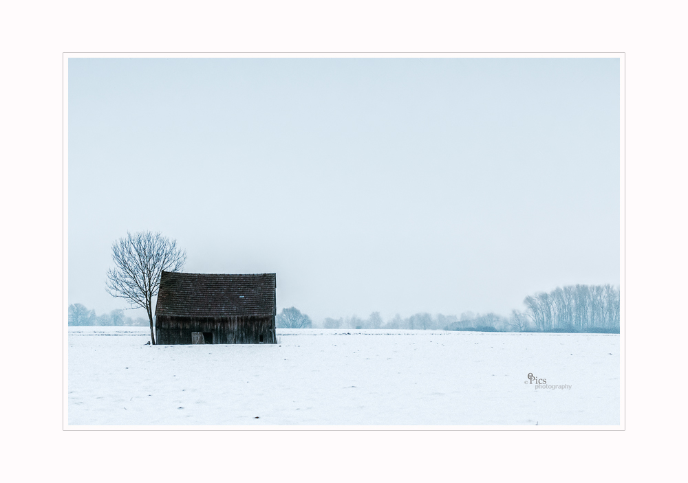 Das Motiv im Schnee