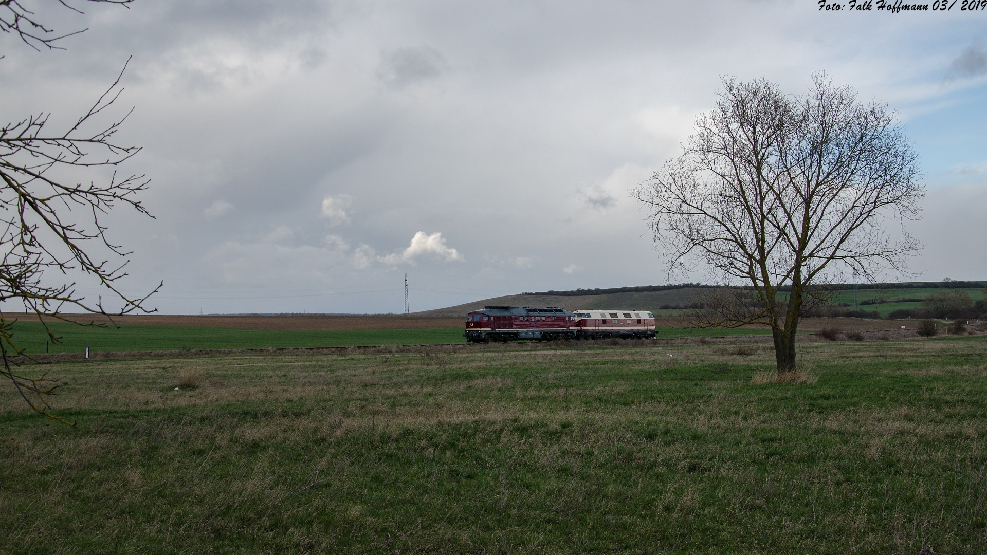 Das Motiv mit dem Baum