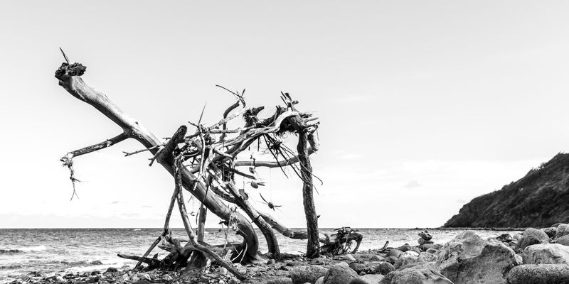 Das Motiv nochmal im anderen Format