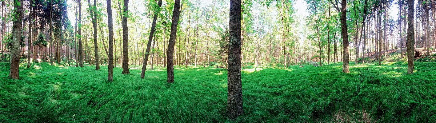 Das Mühltal bei Eisenberg