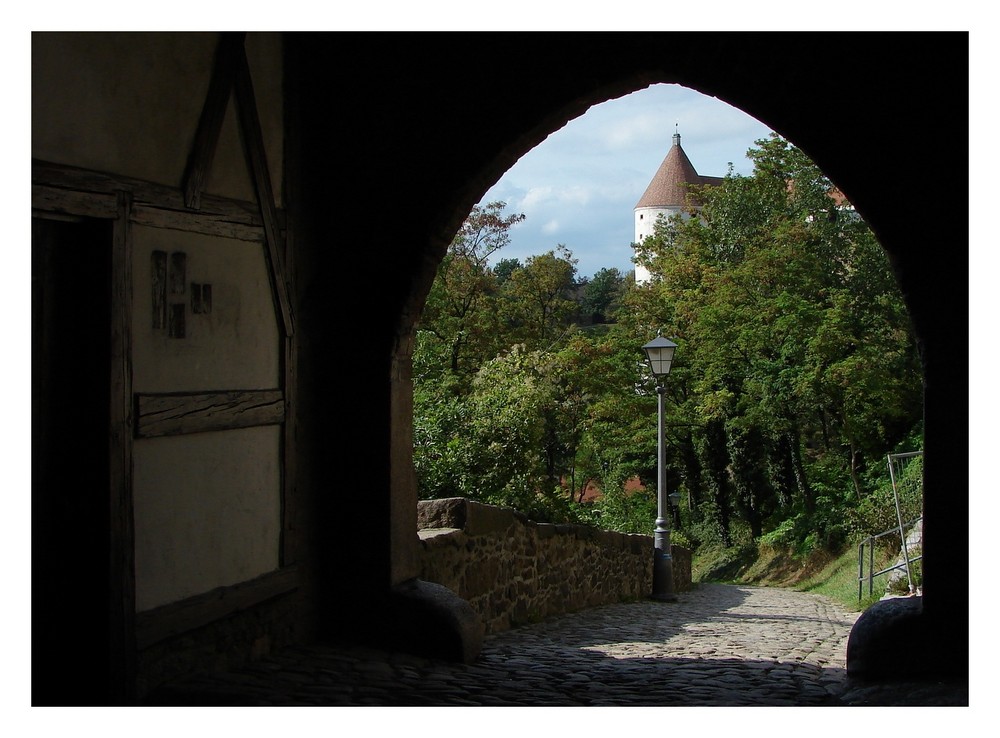 Das Mühltor am Eselsberg...