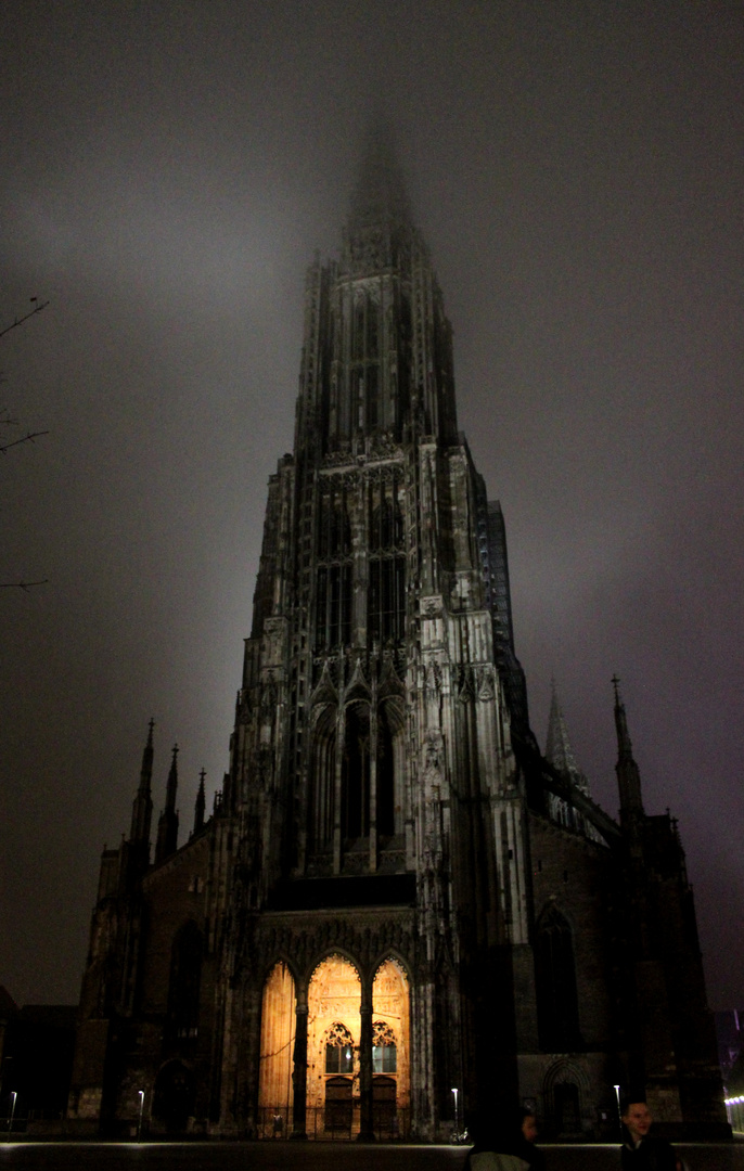Das Münster by night