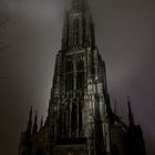 Das Münster by night