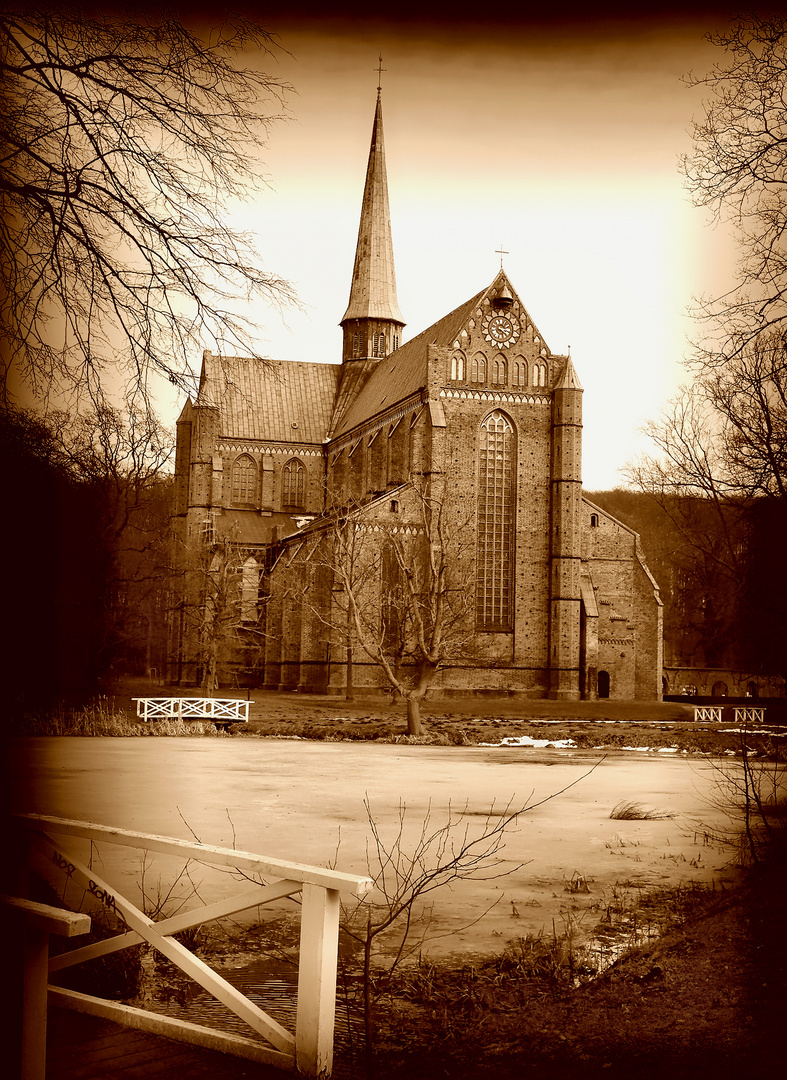 Das Münster in Bad Doberan - Lomography