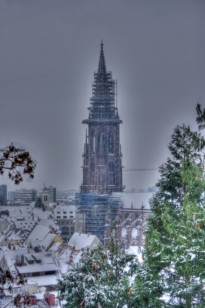 Das Münster in Freiburg