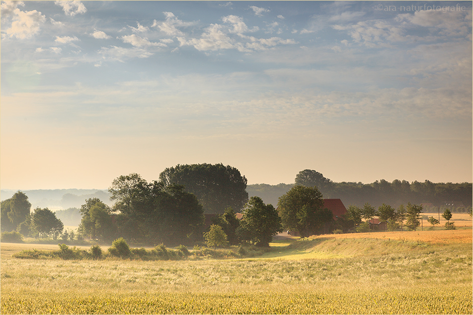 Das Münsterland im Dornröschenschlaf