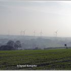 das Münsterland im Nebel