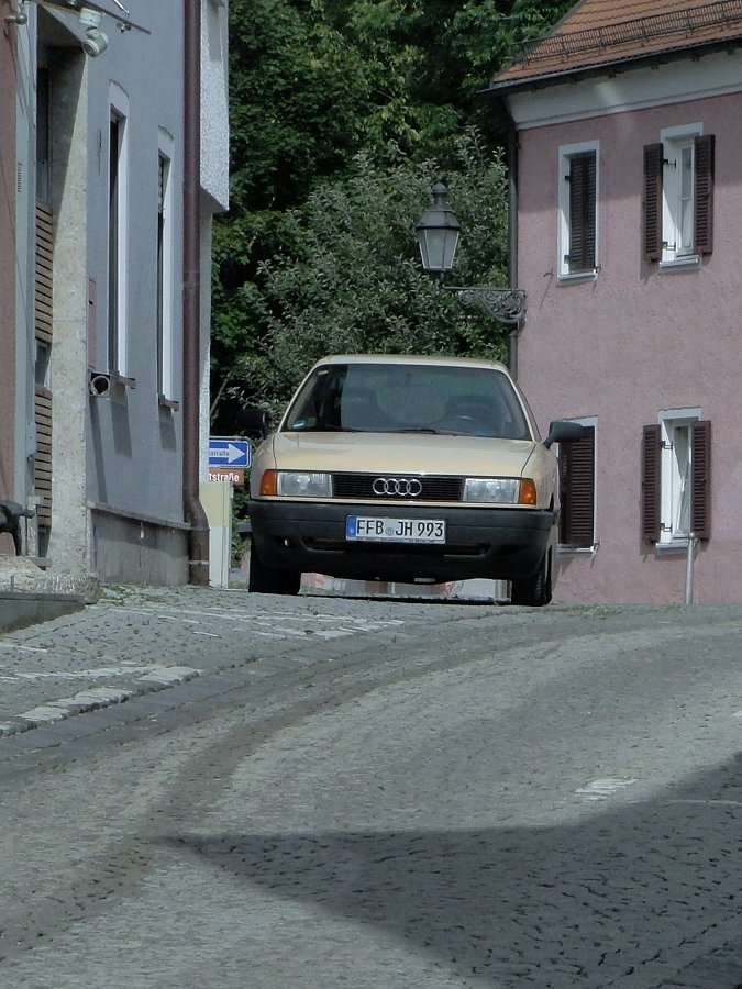 Das Murmeltier geht nicht weg