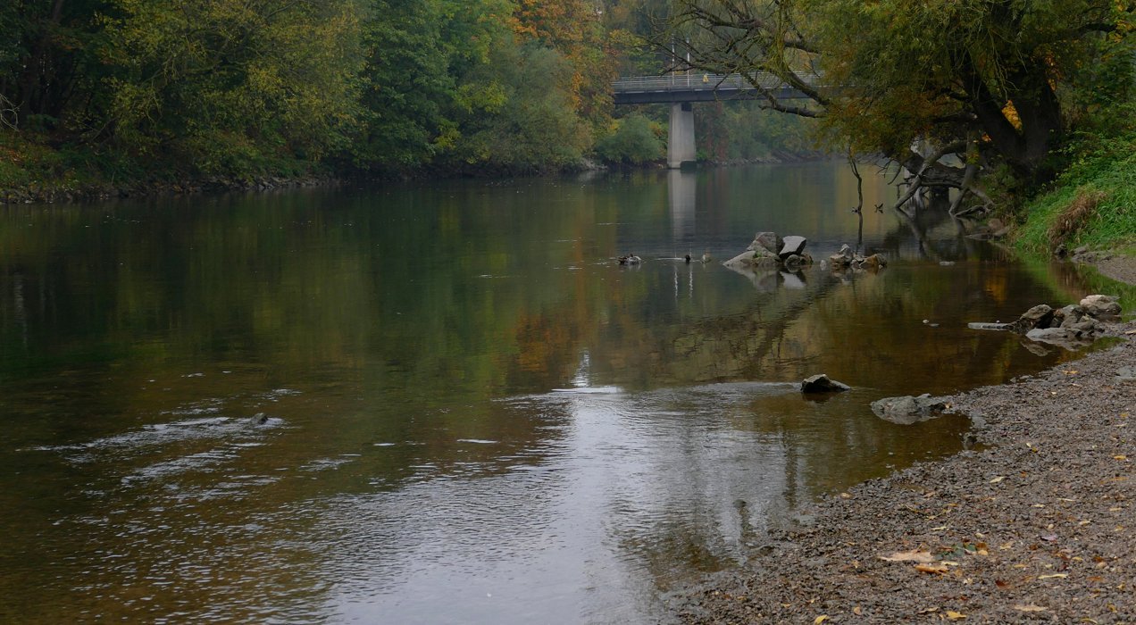 Das Murmeltier und der Herbst