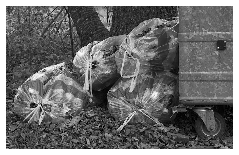 Das murrende Rascheln des Laubes im Herbst der Zivilisation