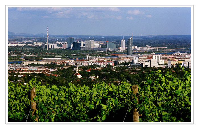 Das muß ein Stück vom Himmel sein - Wien und der Wein, Wien und der Wein