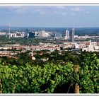 Das muß ein Stück vom Himmel sein - Wien und der Wein, Wien und der Wein