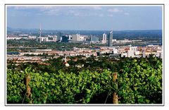 Das muß ein Stück vom Himmel sein - Wien und der Wein, Wien und der Wein