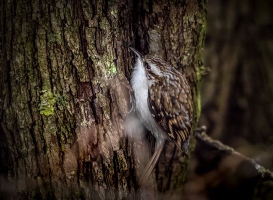 "Das muss ja die dunkelste Ecke auch noch sein"