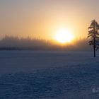 Das mystische Lichtlein am Horizont