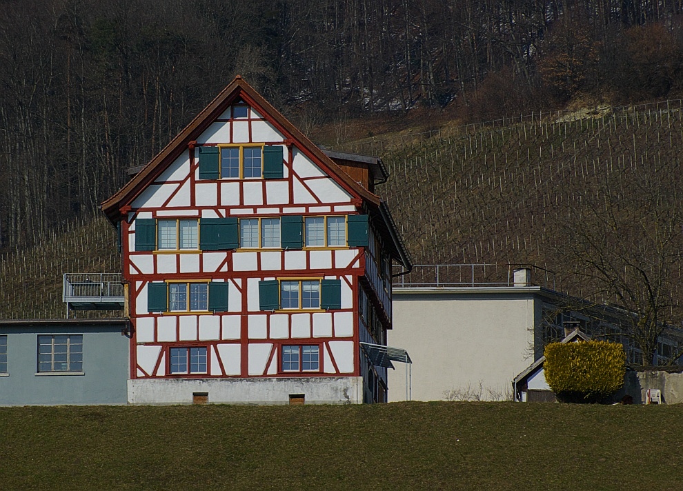 Das Nachbarhaus