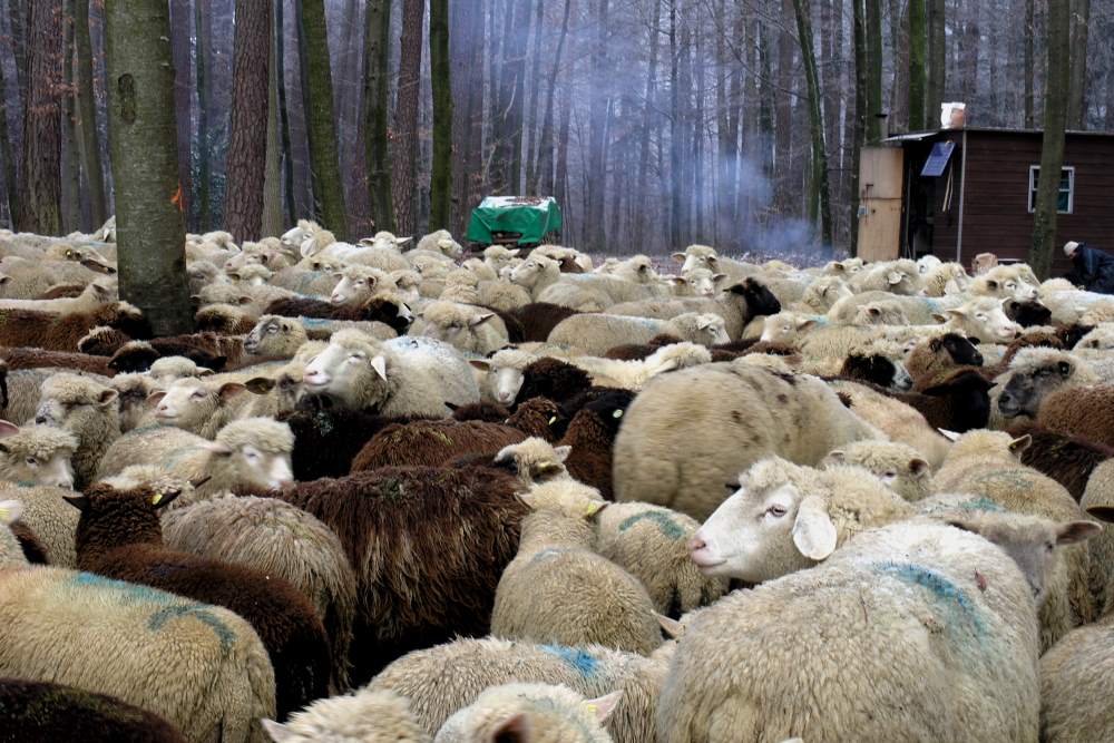 Das Nachtlager wird aufgehoben