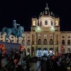 Das naturhistorische Museum in Wien