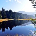 Das Naturjuwel kleiner Arbersee.