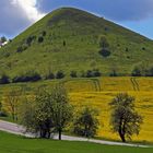 Das Naturschutzgebiet am Berg Cicov, der zu den Lauener Steppenbergen...