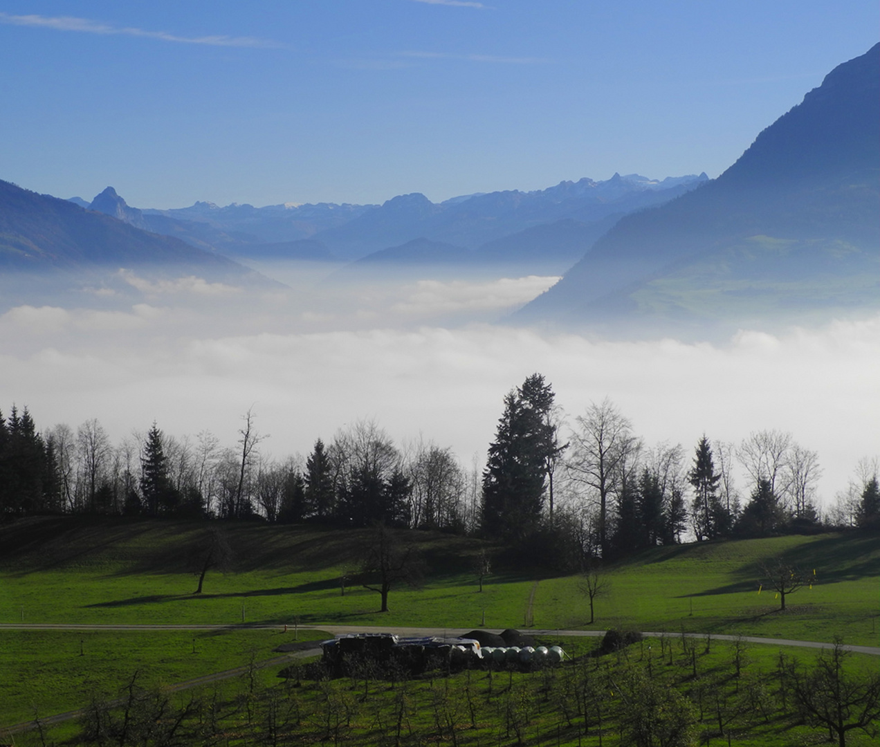 Das Nebel da sein...