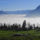 Das Nebel da sein...