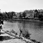 das Neckarufer