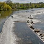 Das Neckarwehr in Nürtingen