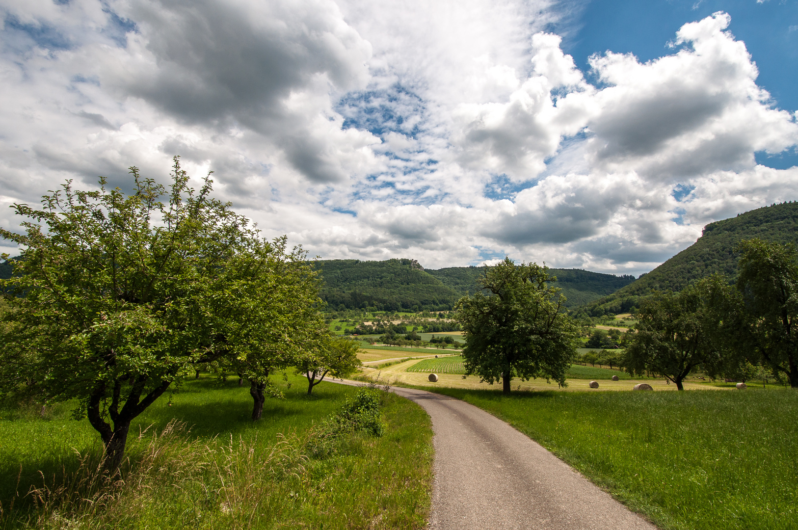 das Neidlinger Tal (Schwäbische Alb) zur Zeit der Heuernte