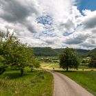 das Neidlinger Tal (Schwäbische Alb) zur Zeit der Heuernte