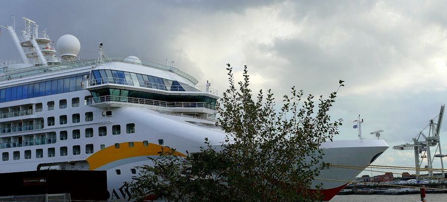 Das nenne ich einen Bug !