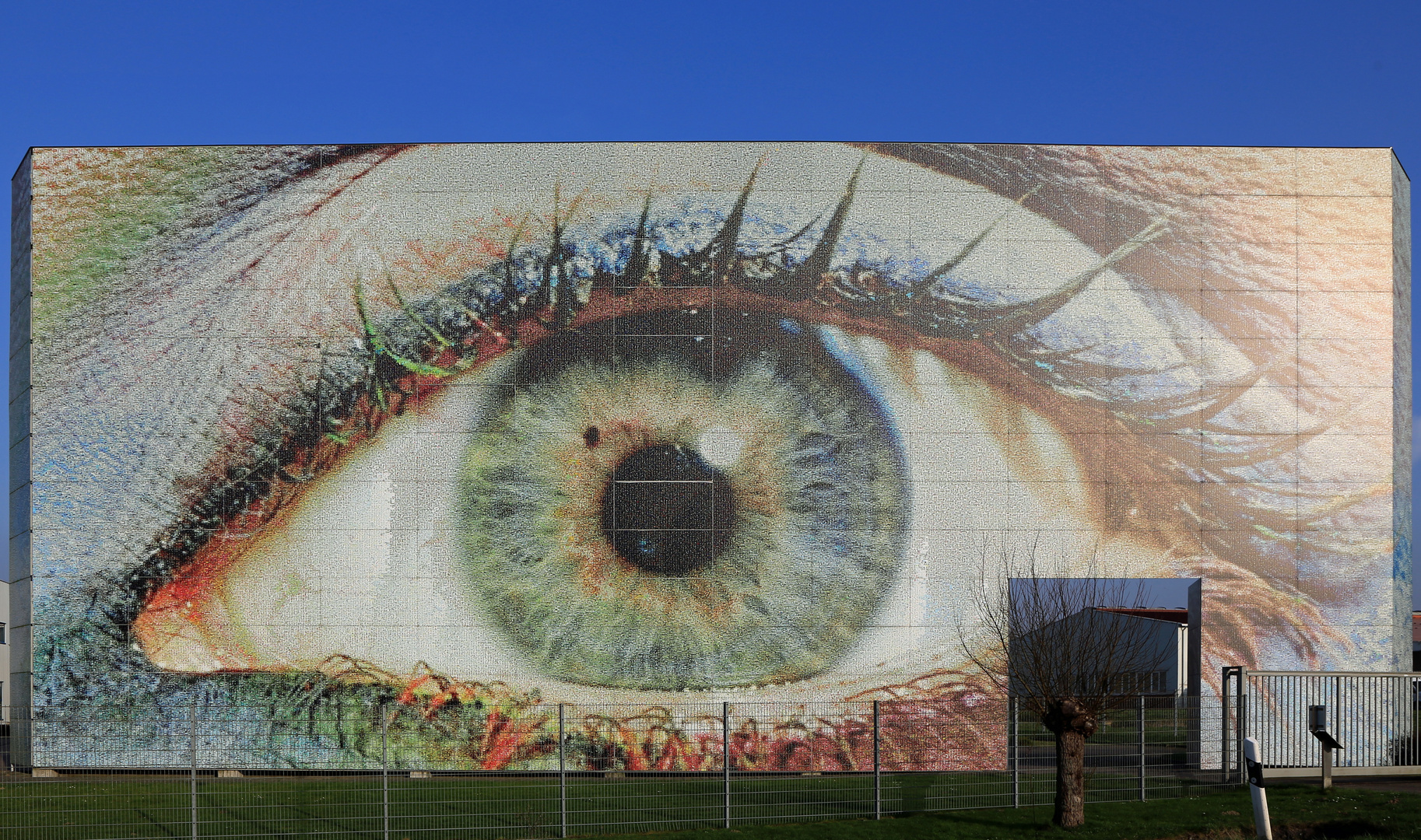 das neschen-auge