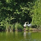 Das Nest auf einer kleinen Insel...