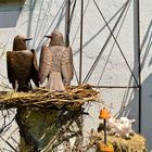 Das Nest der Eisernen Vögel