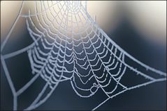 Das Netz