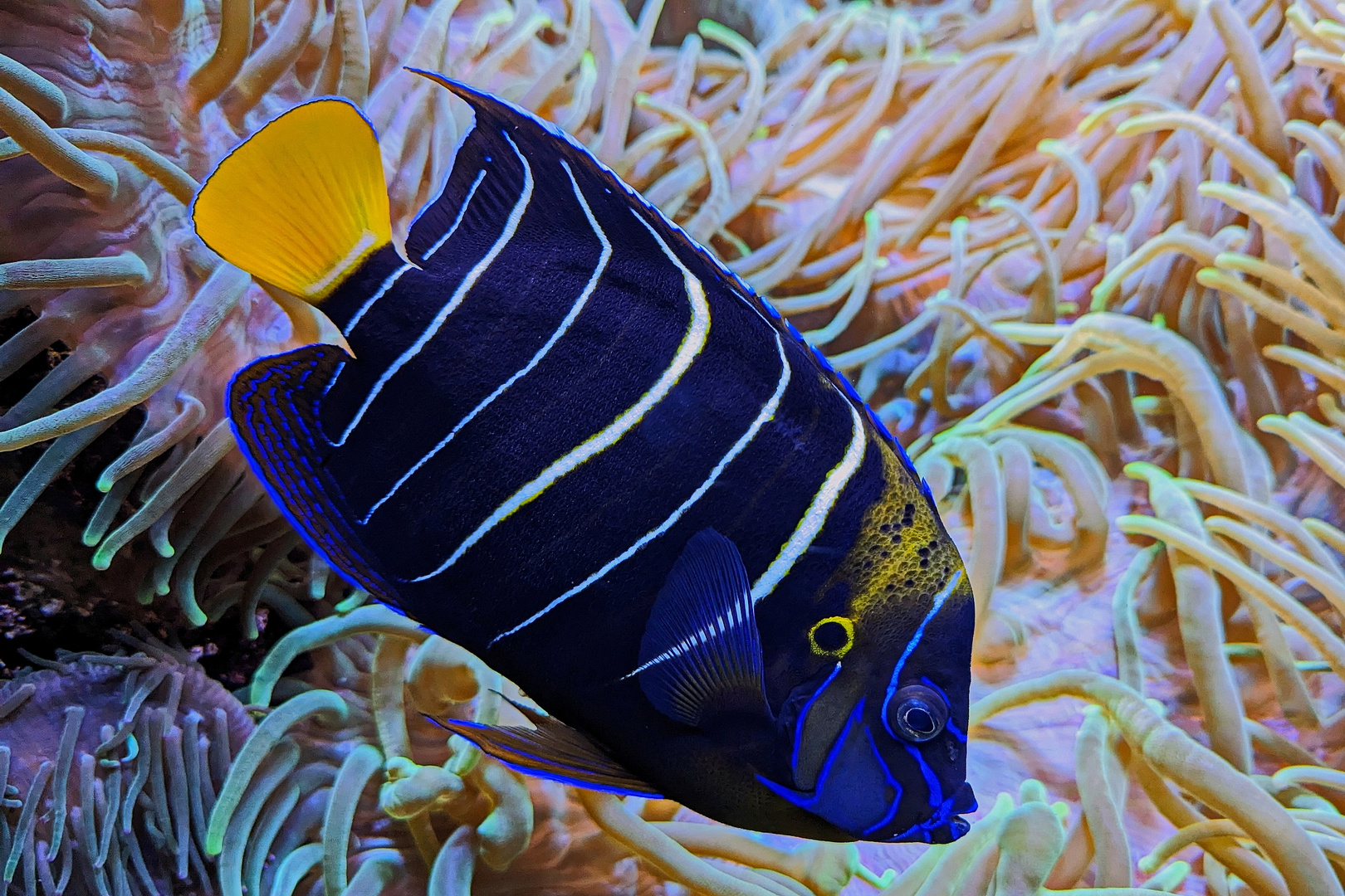 Das neue Aquarium, Zoo Leipzig.