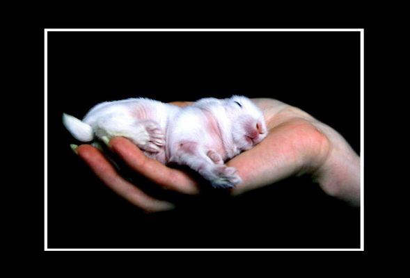 Das neue Leben in meiner Hand