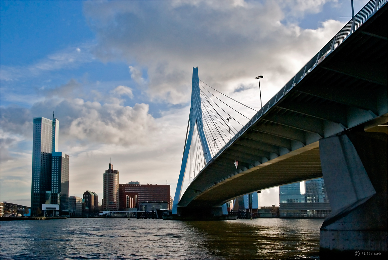 das neue rotterdam