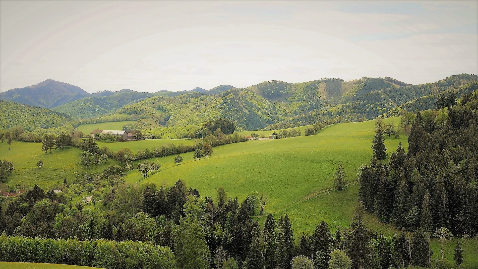 Das niederösterreichische Alpenvorland