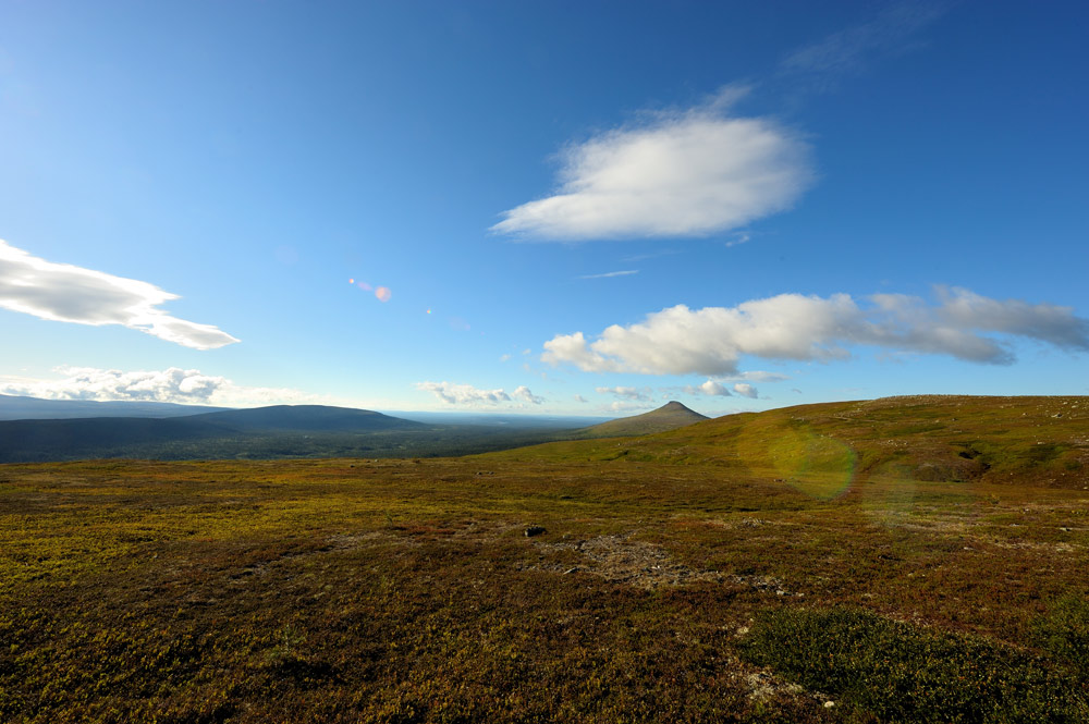 Das Nipfjället Naturreservat in Schweden