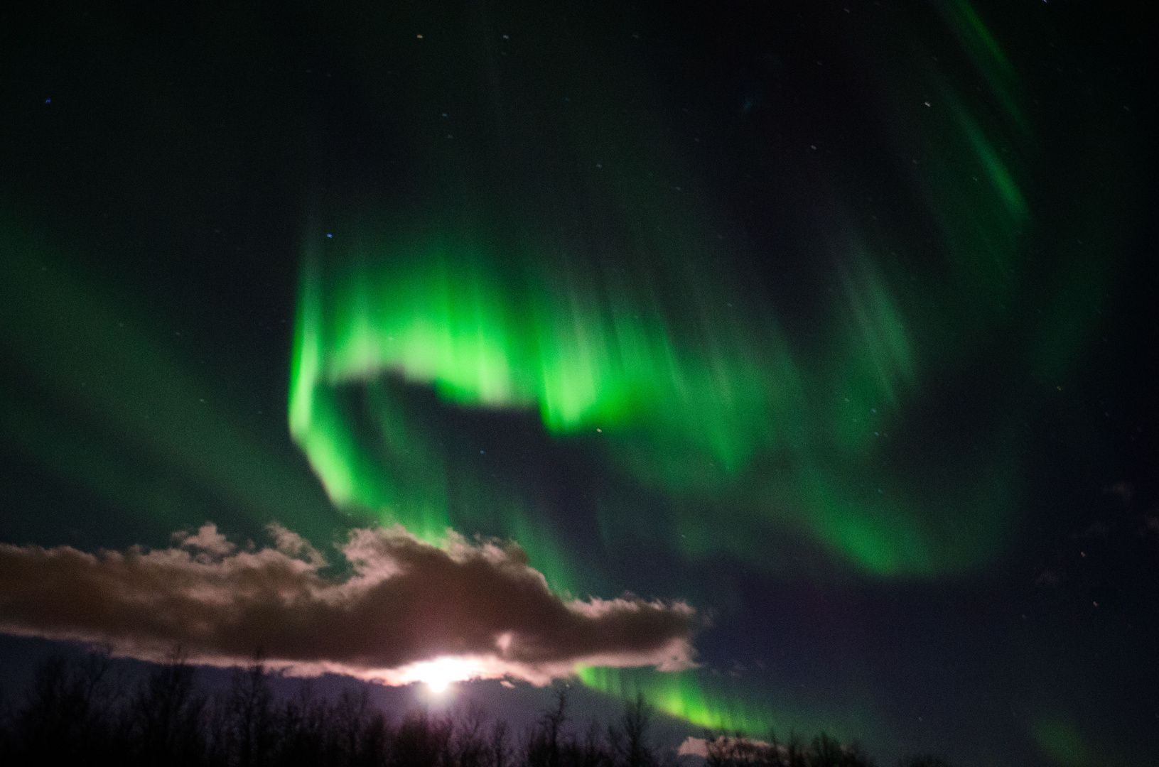 Das Nordlicht