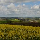 Das Nordpfälzer Bergland in Frühlingsfarben. Heute war mal Sonne da, kalt war es trotzdem...