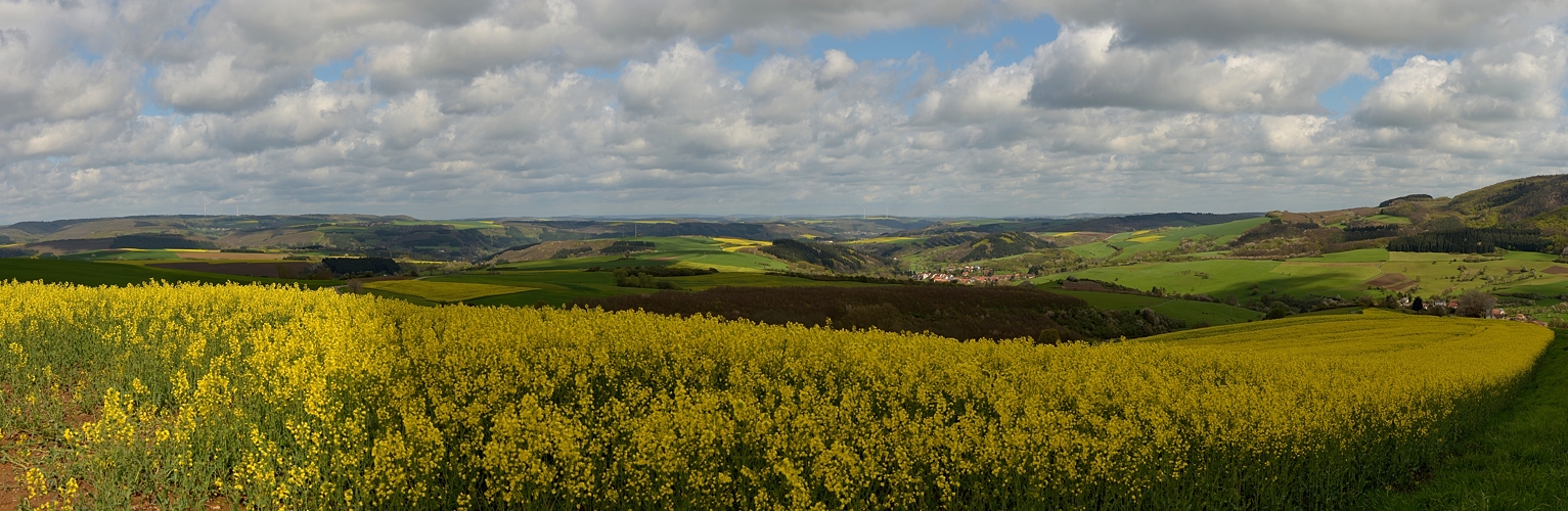 Das Nordpfälzer Bergland in Frühlingsfarben. Heute war mal Sonne da, kalt war es trotzdem...